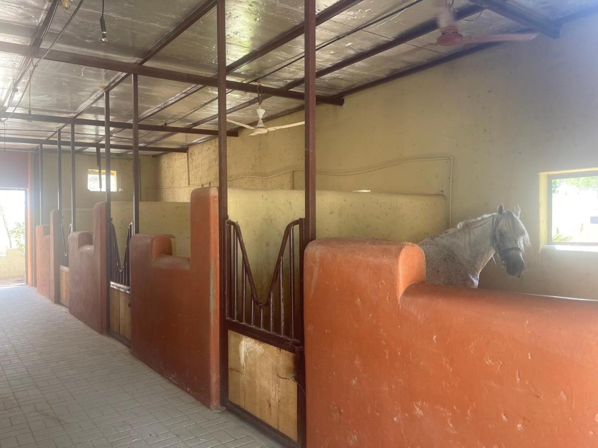 Al Bait Resort With Private Swimming Pools -Hrs Stables Al Hamraniyah Exteriör bild