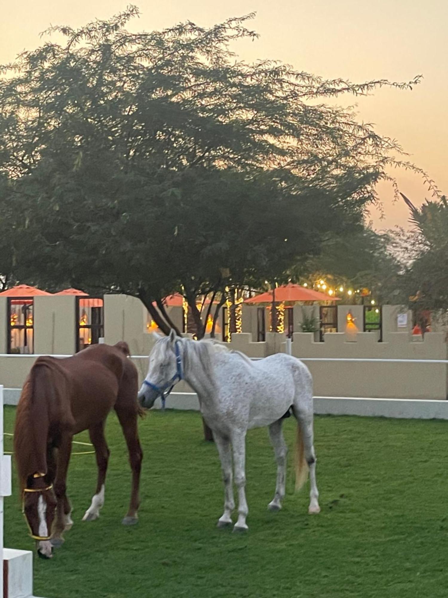 Al Bait Resort With Private Swimming Pools -Hrs Stables Al Hamraniyah Exteriör bild